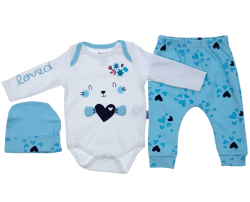 6/9 AY 16325 Kız Love 3 P Badili Takım