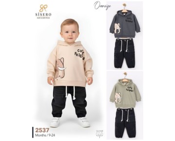 6/18 AY-2537-ERKEK BEBEK AYLIK TAKIM