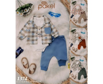 3/12 AY 1374-ÜÇLÜ TKM